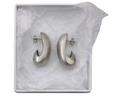 if you dare foundation 01 silver color earring image with transparent background 